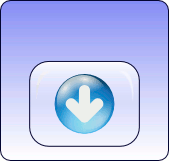 Preizkusna različica